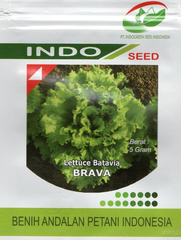 BRAVA - Lettuce Batavia